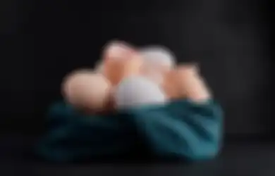 Mulai Sekarang Coba Taburi Pot Tanaman Kesayangan dengan Kulit Telur, Manfaat Kulit Telur Bisa Mengatasi Masalah Ini, Pecinta Kucing Tak perlu Galau Lagi!