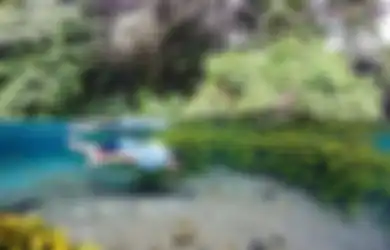 Berkunjung ke Malang Selatan Bisa Dapet Pantai Sekaligus Bukit, Nih 5 Wisata Paling Populernya