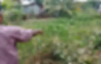 Paranormal Sampai Diturunkan, Perampok Toko Emas di Meulaboh Bikin Geger, Pelaku Hilang Bak Ditelan Bumi Usai Kabur ke Rawa-rawa