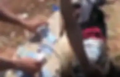 Bak Ketiban Rezeki Nomplok, Warga Plumbon Geger Temukan Uang Pecahan 50 Ribu dan 100 Ribu yang Hanyut di Saluran Irigasi hingga Ditaksir Capai Rp 23 Juta, Bank Ungkap Keaslian Uangnya