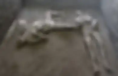 Baru-baru Ini Arkeolog Temukan 2 Jasad Penduduk Pompeii, Diyakini sebagai Tuan dan Budaknya 