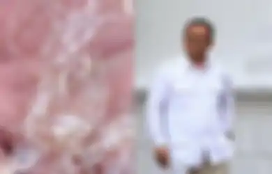 Wakil Ketua KPK Angkat Bicara, Menteri KKP Edhy Prabowo Ditangkap Terkait Ekspor Benur, Sejumlah Sosok di Kementerian Kelautan dan Perikanan Ikut Dicokok