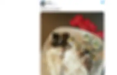Nggak Gini Juga Donk! Warganet ini Makan Sushi Ditambah Nasi Putih, Alhasil Kena Omelan Netizen