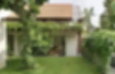 Saatnya Rapikan Taman! 5 Tips Suburkan Tanaman, Usir Hewan Pengganggu