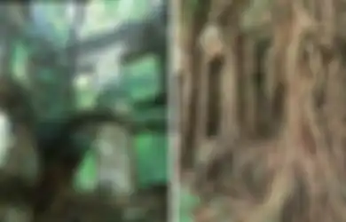 Tampilannya Menyeramkan, Rumah Berhantu di Taiwan Ini Dijual Seharga Rp6,4 Miliar, Memang Apa Istimewanya?