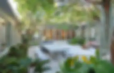 Jangan Asal Menempatkan Pohon Peneduh di Taman, Maksimalkan Fungsinya!