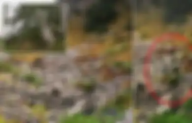 Bak Hantu, para Sniper dalam Foto-foto Ini Berkamuflase Nyaris Tak Terlihat, Bisakah Anda Menemukan Mereka?