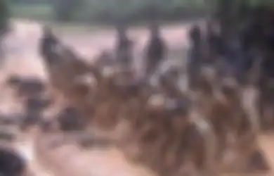 Berlokasi di Cilacap, Inilah Tempat yang Dijuluki Neraka Bagi Kopassus, Tetapi Mereka yang Keluar dari Neraka Ini Menyandang Gelar Pasukan Elit TNI AD