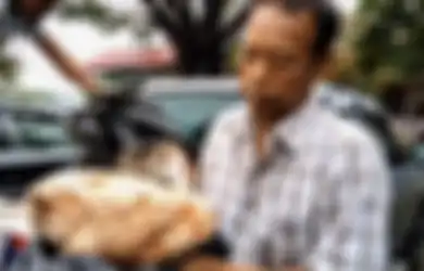 Bak Ketiban Rezeki Nomplok, Seorang Nelayan Mendadak Jadi Jutawan Usai Temukan Muntahan Ikan Paus Sperma di Dekat Rumahnya, Ternyata Harganya Tembus Rp 445 juta per Kilo!