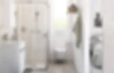 Letak Pintu Utama yang Berhadapan dengan WC Bisa Berdampak Buruk, Mulai dari Rasa Tidak Nyaman bahkan Musibah Perampokan