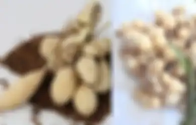 Wanita Ini Berhasil Sembuh dari Kanker Tanpa Kemoterapi, Rupanya Ini yang Dikonsumsinya Hingga Terbebas dari Penyakit Mematikan Ini, Begini Kisahnya!