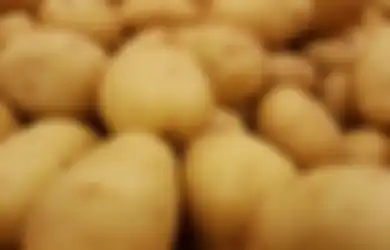 Seperti Menunggu Bom Waktu Meledak, Kebiasaan Simpan Kentang dalam Kulkas Ternyata Berisiko Terserang Penyakit Mematikan Ini, Stop Mulai dari Sekarang!