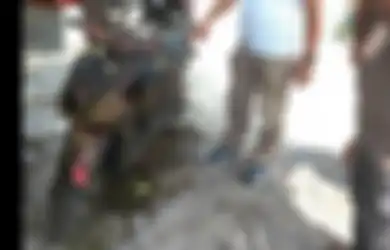Niatnya Menjala Ikan di Sungai, Pria Asal Kediri Ini Malah Dapat Motor Matic dari Dasar Air, Berikut Kronologinya
