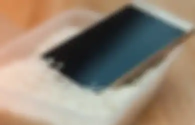 Dipercaya Bisa Buat Ponsel Basah Menjadi Kering, Ternyata Anggapan Meletakkan Handphone di Beras Bikin Rusak, Ini Penjelasannya