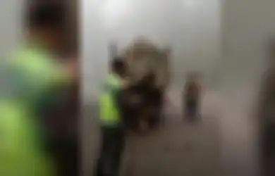 Fakta Dibalik Viralnya Video Dinosaurus yang Diturunkan dari Truk, Pengelola Wisata: Ada Beberapa Macam