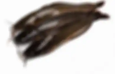 Jadi Makanan Favorit Orang Indonesia Karena Murah Meriah, Waspada Jangan Lagi Beli Ikan Lele dengan Ciri ini, Bisa Fatal Kalau Dimakan