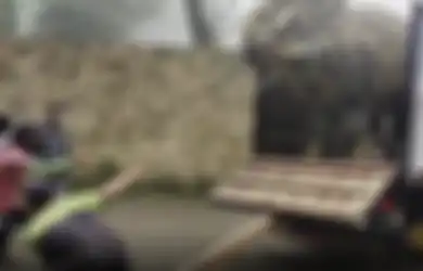 Viral Video Truk di Jawa Timur Angkut Triceratops, Bukan CGI?