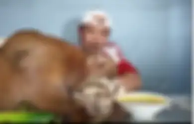 Waduh Ngeri! Pria Ini Mukbang Kepala Sapi Utuh Bikin Nggak Nafsu Makan