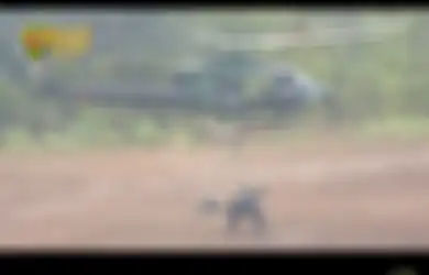 Berbekal Helikopter Serang dan Meriam Roket Astros, 3.300 Prajurit TNI AD Saling Unjuk Kehebatan di Depan Jenderal Andika Perkasa, KSAD: Saya Melihat...