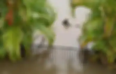 Bukan Biawak atau Ular, Rumah Ini Kedatengan Hiu Banteng Pas Banjir. Kok Bisa?