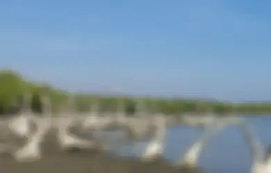 Terlihat Menawan, Siapa Sangka Danau Ini Adalah Tempat Angker di Timor Leste, Konon di Dalamnya Tersimpan Bukti Kejahatan Besar Indonesia