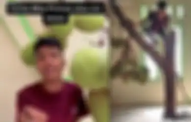 Pohon Nangka Tumbuh di Dalam Rumah dan Hasilkan Buah, Gini Cerita Sang Pemiliknya