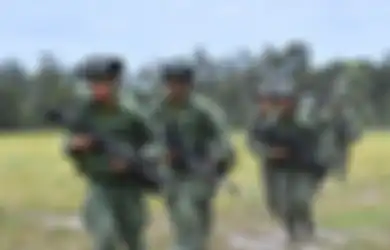 Ada Kampanye Adopsi Anjing Militer, Ini Fakta-fakta Militer Singapura, Militer Paling Kaya di Asia Tenggara