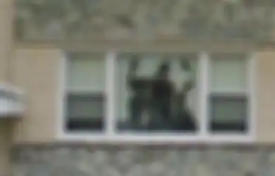 Foto Sosok Mengerikan di Sebuah Rumah Terekam Google Maps, Ini Penjelasan Logisnya
