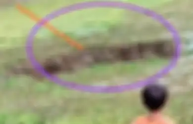 Lubang Misterius Tiba-tiba Muncul Kuras Air dan Ratusan Kilo Ikan, Warga Sukabumi Heboh Hingga Ungkit Ramalan Nenek Moyang!