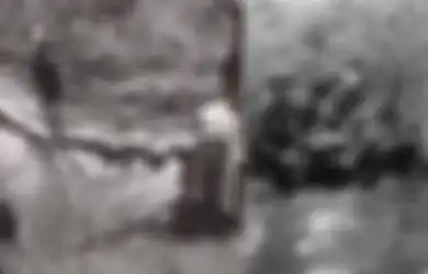 Bikin Tentara Koalisi Saling Tembak Sendiri, Inilah Dong Thap Moui, Kawasan yang Jadi 'Senjata Pusaka' Vietnam dalam Berbagai Perang