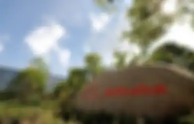 Akibat Kebijakan Anti Trust di China, Alibaba Denda Rp 40 Triliun