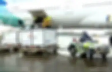 Jokowi Himbau Vaksinasi Covid-19 Dimulai Minggu Depan, BPOM: 'Kami Pastikan Keamanan Vaksin Sinovac', Begini Lengkapnya