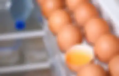 Satu Indonesia Nyesel Baru Tahu, Mulai Sekarang Tolong Stop Simpan Telur di Dalam Kulkas, Efeknya Ternyata Berbahaya Bagi Tubuh Jika Masih Ngeyel