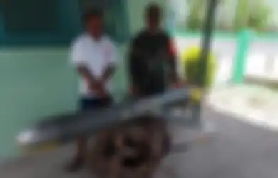 Jilat Ludah Sendiri, China Kepergok Terus-terusan Kirim Drone Mata-mata Bawah Air ke Perairan Indonesia, Laut Jawa Diduga Jadi Incaran Tiongkok Sejak Lama
