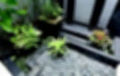 Cara Merespons Cuaca dengan Tepat agar Taman Kering Tumbuh Maksimal