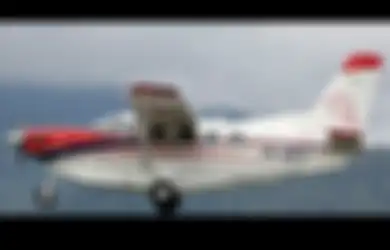 Pilot Amerika Ini Syok Saat Lolos dari Kematian Ketika Pesawat Kemanusiaan yang Ia Kendarai Dibakar Habis Oleh KKB Papua di Desa Terpencil Ini, Begini Kronologinya