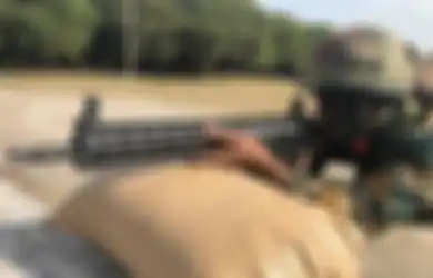 Jadi Pasar Utama Ekspor Amerika, India Membeli Lebih dari 140.000 Senapan Infanteri dari Sig Sauer dan Berlipat-lipat Ganda!