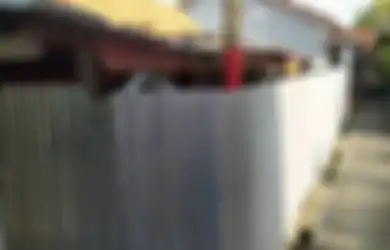Masa Bodoh Dianggap Berlebihan dan Jadi Omongan Tetangga, Pria Ini Pagari Rumahnya dengan Seng Gara-gara Takut Corona: Ketakutan Saya Lebih dari Waga Lain