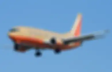 Masih Gunakan Pesawat Jenis Lama Boeing 737, Maskapai Penerbangan Indonesia Ini Akan Diperiksa oleh Kemenhub, Maskapai Apa Saja yang Kena?