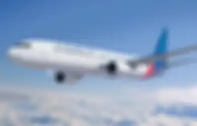 Kapten Pilot Pesawat Sriwijaya Air SJ-182 yang Jatuh, Ternyata Pernah Menjadi Penerbang TNI-AU