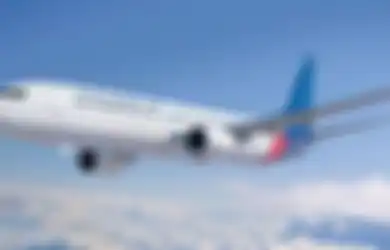 Black Box dan Bagian Pesawat Sriwijaya Air SJ 182 Ditemukan, Tim Pencarian Gerak Cepat Siapkan Armada Khusus untuk Mengangkat dari Dalam Laut