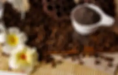 Jangan Langsung Berakhir di Tempat Sampah, Coba Taburkan Ampas Kopi ke Sudut Rumah, Perubahan Menakjubkan Ini Bisa Bikin Ketagihan