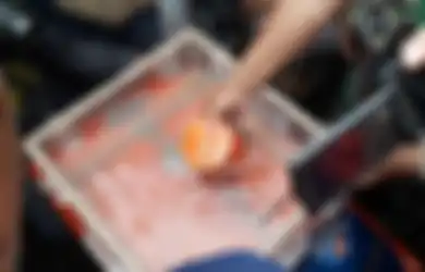 7 Fakta Black Box, Komponen Penting yang Wajib Ada di Pesawat