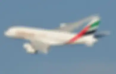 Dihukum karena Tolak Terbangkan Pesawat ke Israel, Pilot Maskapai UEA: Tuhan Menjaga Saya, Saya Tidak Menyesalinya