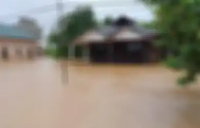 Banjir Besar, Greenpeace Sebut Hutan Hujan Kalimantan Hilang Berganti Jadi Perkebunan dan Tambang Batubara