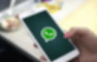 Fitur Baru WhatsApp Bocor di Aplikasi Versi Beta, Begini Fungsinya