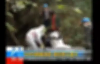 Mungkinkah Misteri Virus Corona Akhirnya Terungkap? Video Lama Tunjukkan Para Ilmuwan Wuhan Menangani Kelelawar Sebelum Pandemi Covid-19