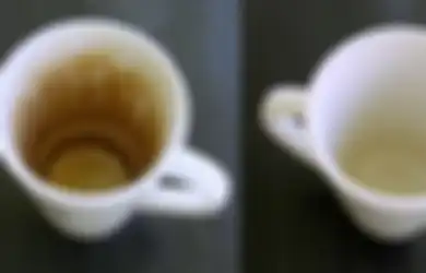 Hobi  Minum Kopi dan Teh Bikin Bagian Dalam Cangkir Berubah Warna, Gunakan Saja Baking Soda untuk  Hilangkan Noda, Begini Caranya!