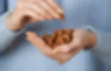 Tiga Camilan Mewah Ini Bisa Turunkan Berat Badan Agar Tubuh Makin Langsing, Coba Sekarang