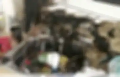 Ibu dan Anaknya Ini Temukan Sesuatu yang Mirip Fosil, Tiba-tiba Meledak di Wastafel Dapur, Rupanya Ini Sisa-sisa Perang Dunia Kedua